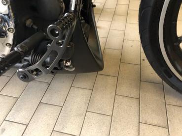 Preview: Softail Spoiler